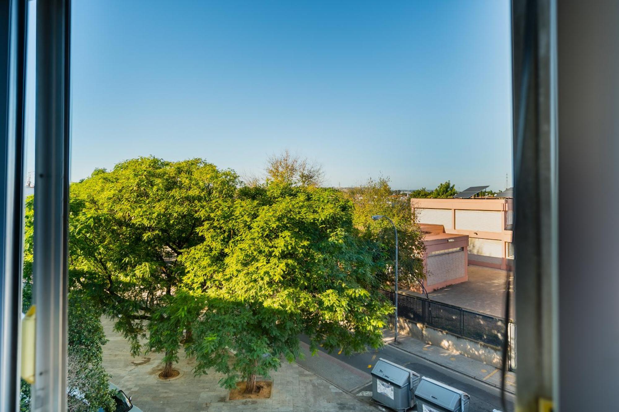 Apartamento Luminoso Sevilla Dış mekan fotoğraf